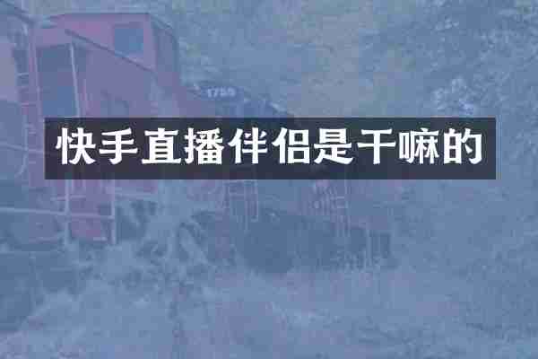 快手直播伴侣是干嘛的