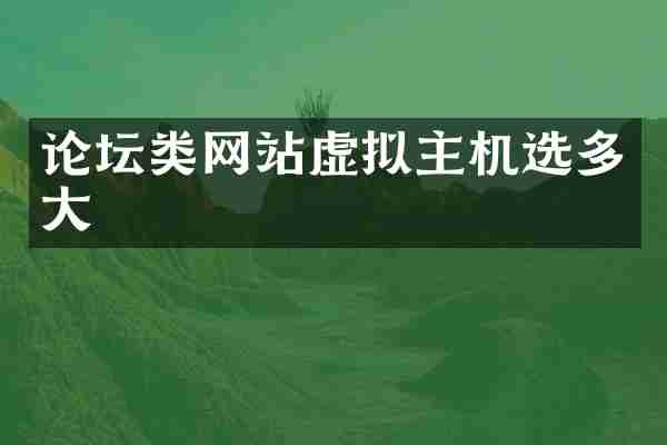 论坛类网站虚拟主机选多大