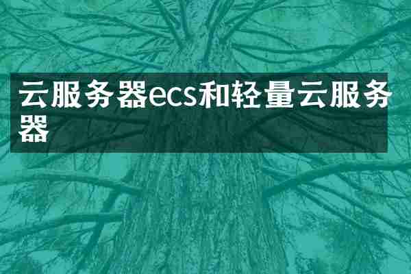 云服务器ecs和轻量云服务器