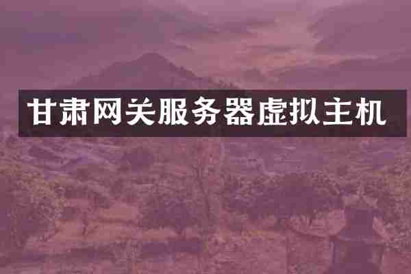 甘肃网关服务器虚拟主机