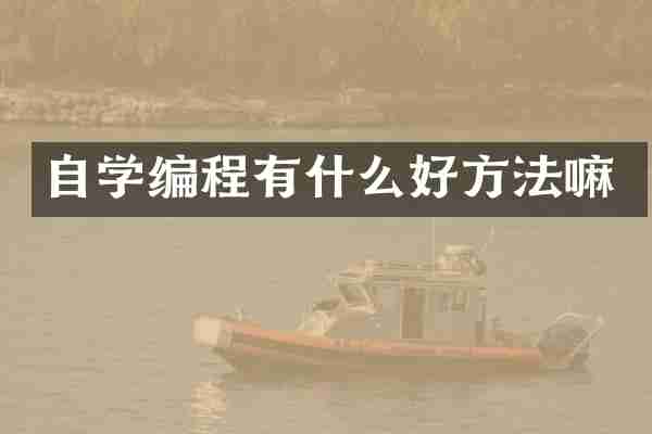 自学编程有什么好方法嘛