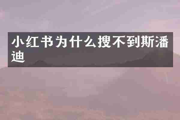 小红书为什么搜不到斯潘迪