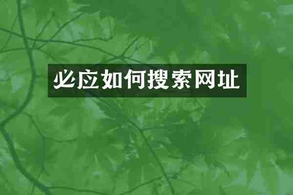 必应如何搜索网址