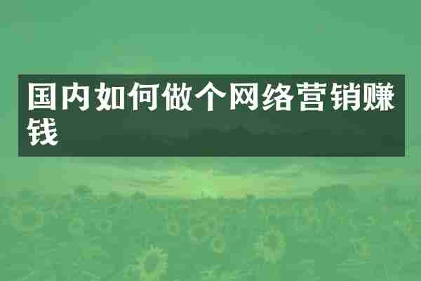 国内如何做个网络营销赚钱