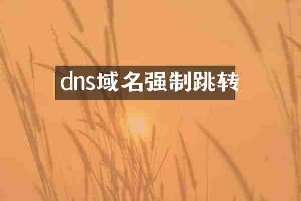 dns域名强制跳转