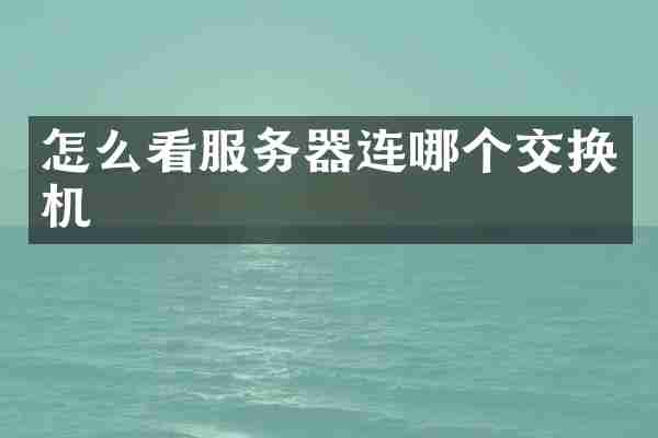 怎么看服务器连哪个交换机
