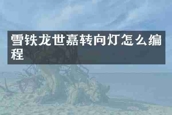 雪铁龙世嘉转向灯怎么编程