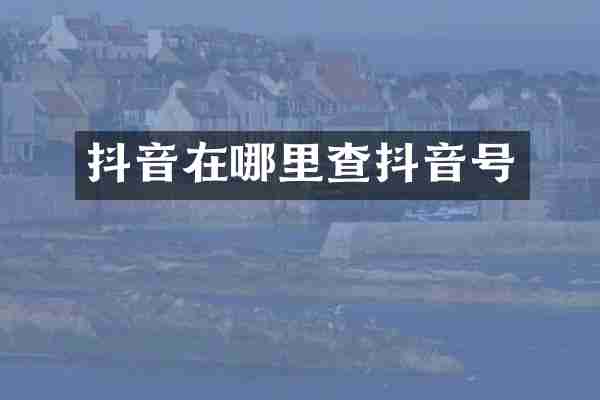 抖音在哪里查抖音号