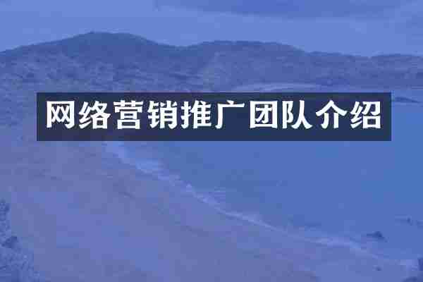 网络营销推广团队介绍