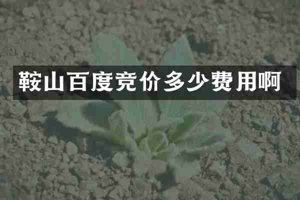 鞍山百度竞价多少费用啊