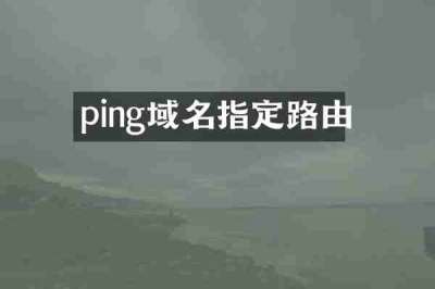 ping域名指定路由
