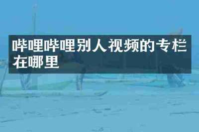 哔哩哔哩别人视频的专栏在哪里