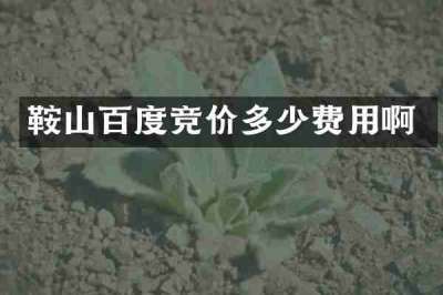 鞍山百度竞价多少费用啊