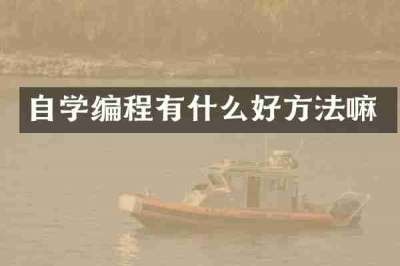 自学编程有什么好方法嘛