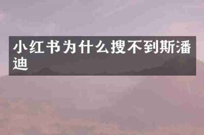 小红书为什么搜不到斯潘迪