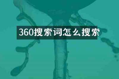 360搜索词怎么搜索
