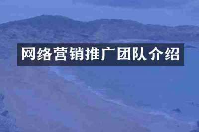 网络营销推广团队介绍