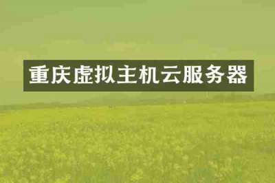 重庆虚拟主机云服务器