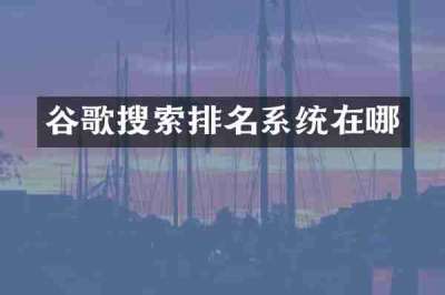 谷歌搜索排名系统在哪
