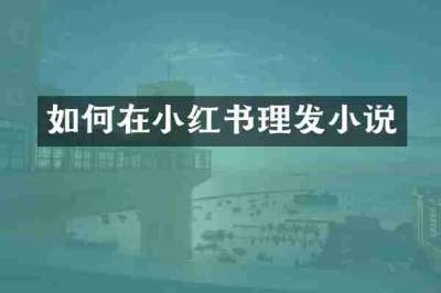 如何在小红书理发小说