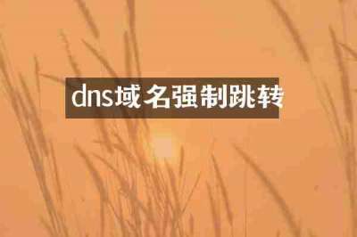 dns域名强制跳转