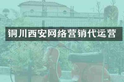 铜川西安网络营销代运营