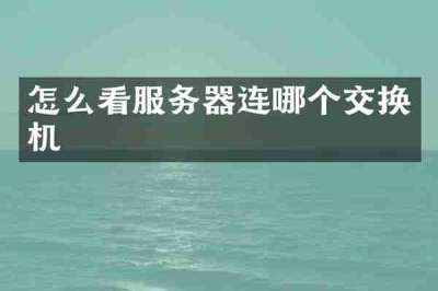 怎么看服务器连哪个交换机