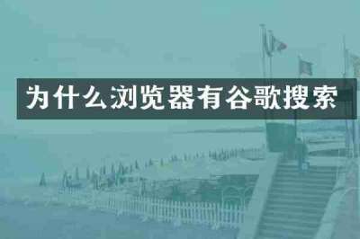 为什么浏览器有谷歌搜索