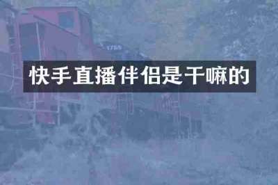 快手直播伴侣是干嘛的