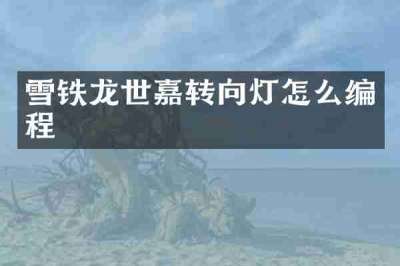 雪铁龙世嘉转向灯怎么编程