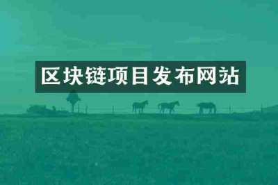 区块链项目发布网站