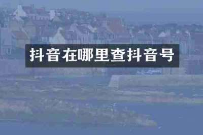 抖音在哪里查抖音号