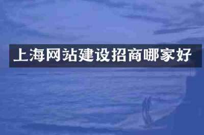 上海网站建设招商哪家好