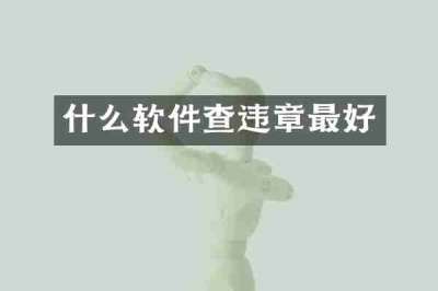 什么软件查违章最好