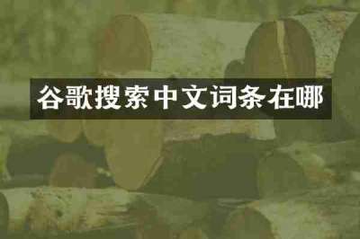 谷歌搜索中文词条在哪