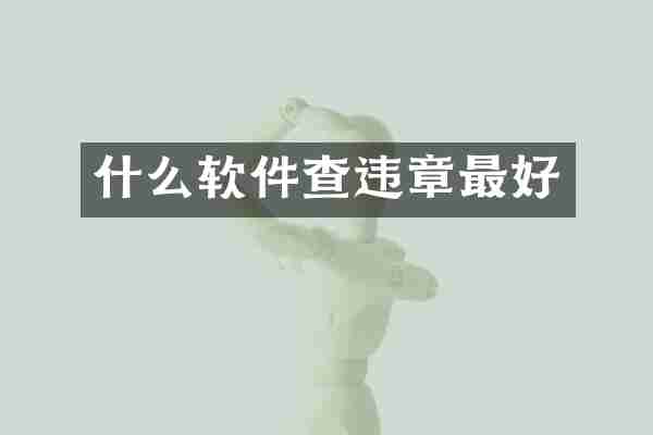 什么软件查违章最好
