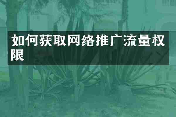 如何获取网络推广流量权限