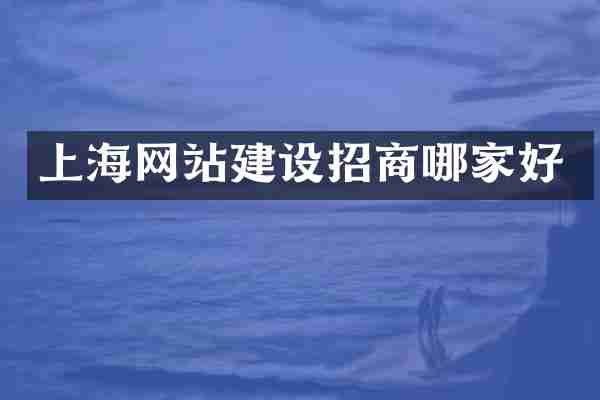 上海网站建设招商哪家好