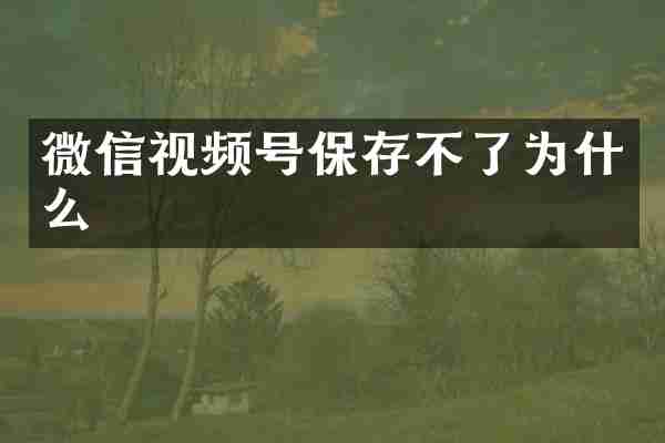 微信视频号保存不了为什么