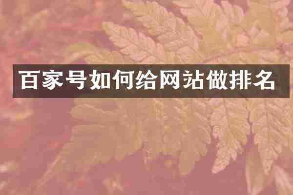 百家号如何给网站做排名