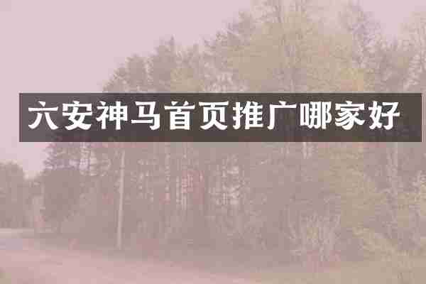 六安神马首页推广哪家好
