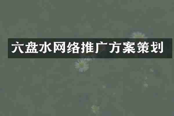 六盘水网络推广方案策划
