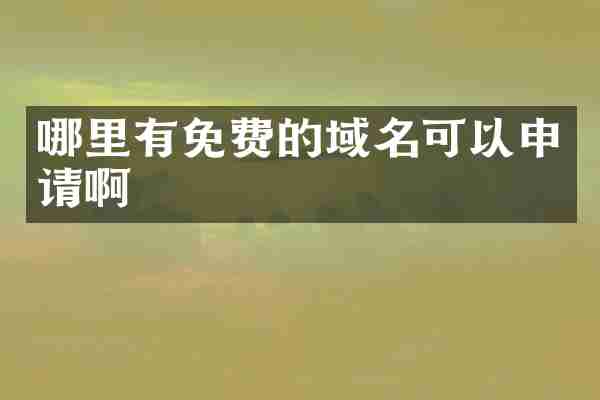 哪里有免费的域名可以申请啊