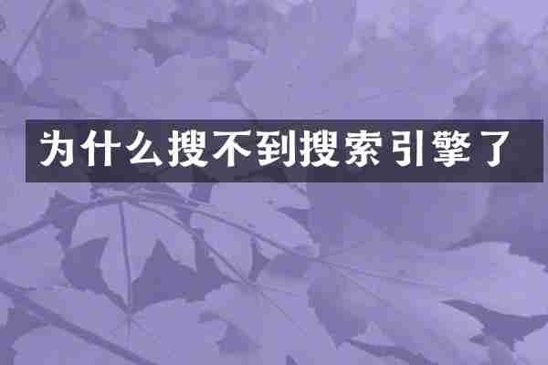 为什么搜不到搜索引擎了