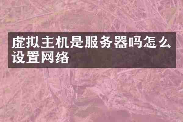 虚拟主机是服务器吗怎么设置网络