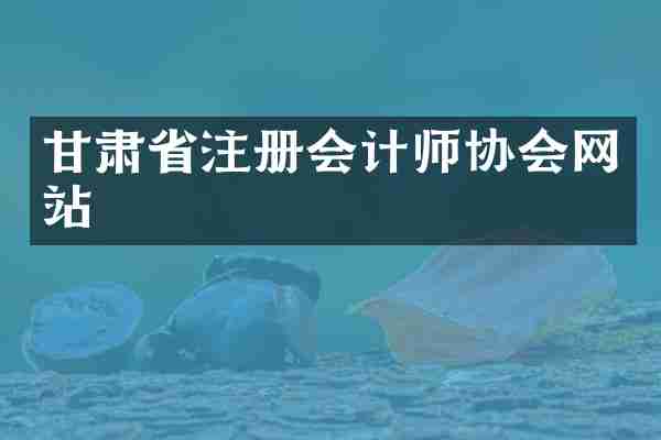 甘肃省注册会计师协会网站