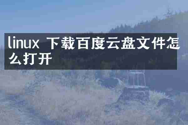 linux 下载百度云盘文件怎么打开