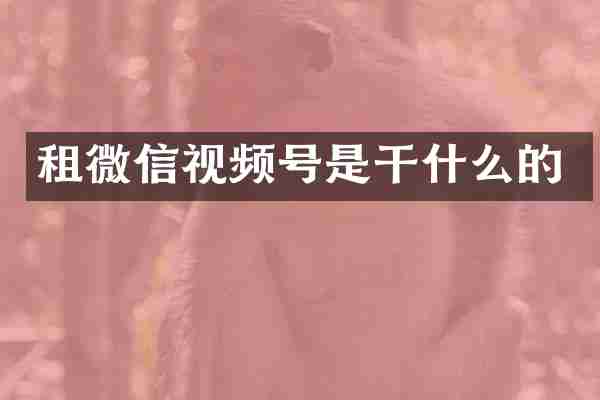 租微信视频号是干什么的