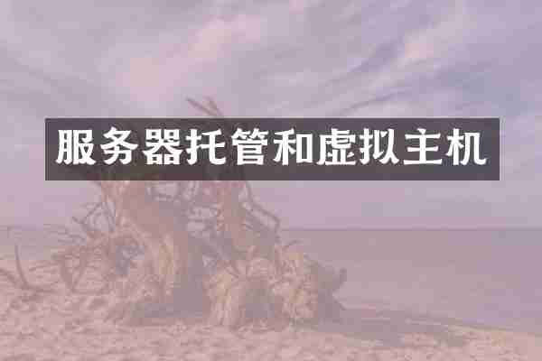 服务器托管和虚拟主机