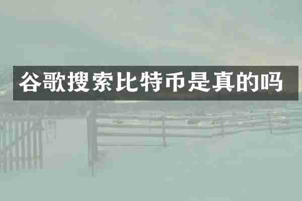 谷歌搜索比特币是真的吗